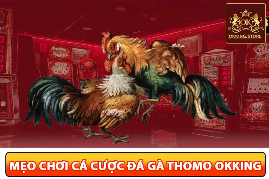 Mẹo cược đá gà okking chuẩn