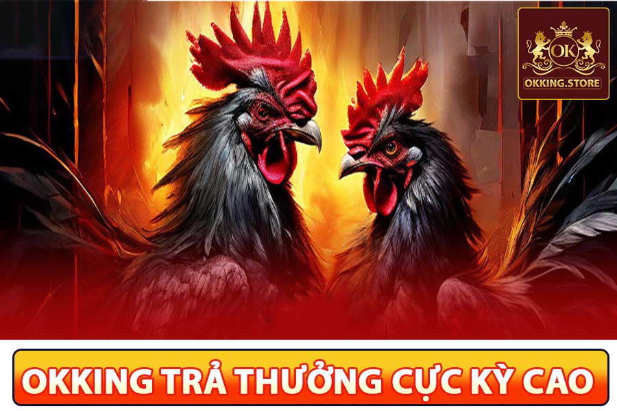 Okking có tỷ lệ trả thưởng cao nhất thị trường