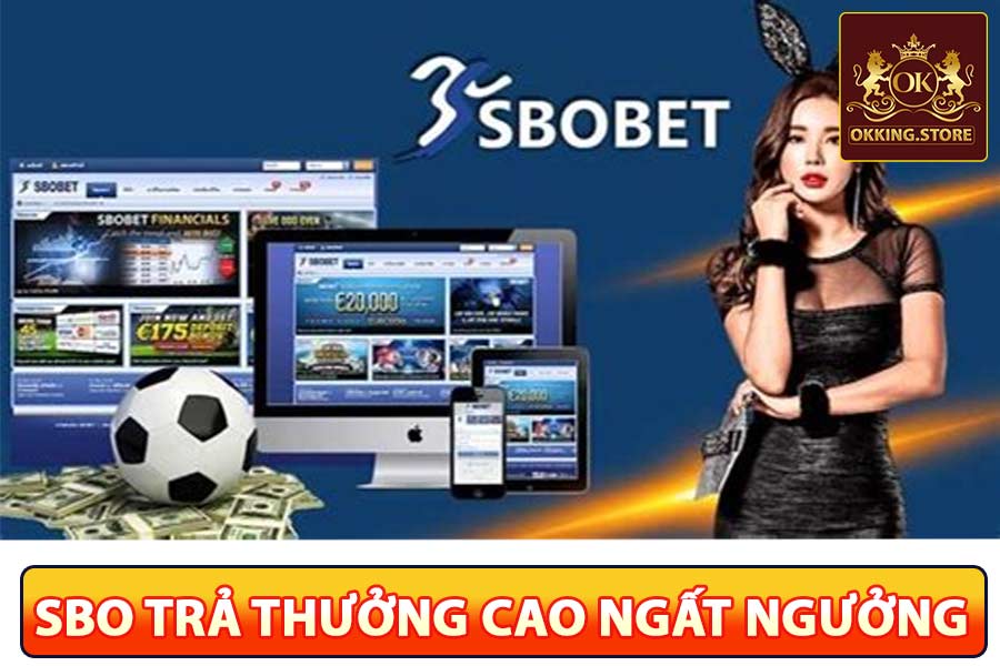 SBOBET có tỷ lệ trả thưởng cao nhất Việt Nam